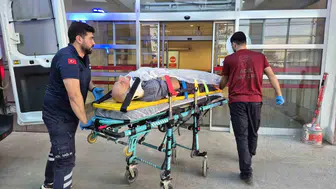 Budama yaparken metrelerce yükseklikten zemine çakıldı