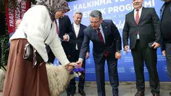 Maçka'da üreticinin yüzü güldü: Yüzde 90 hibe ile 180 koyun teslim edildi