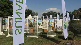 Adana Lezzet Festivali'nde plastik devri kapanıyor: Mısır nişastasından üretilen doğa dostu çözüm