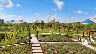 Ankara'nın kalbinde devasa bir ekosistem: 24 milyon yıllık fosillerden Türk dünyasının izlerine