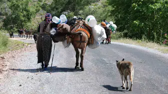 Toroslar’da mevsim döndü: Yörüklerin asırlık göç yolculuğu yeniden başladı