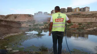 Hatay'da yaz kış demeden hummalı çalışma: Haşerelere karşı 7/24 teyakkuz