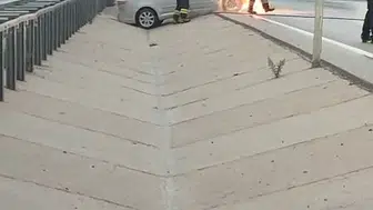 İzmir-Çanakkale yolunda korku dolu anlar: Seyir halindeki araç bir anda küle döndü