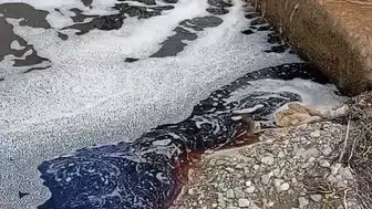 Yalova kıyılarında ürküten görüntü: Deniz aniden kızıla büründü