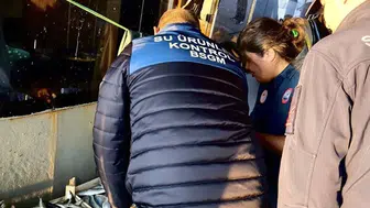 Mersin kıyılarında kaçak avcılığa geçit yok: Denizlerin geleceği için sıkı takip