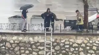 Gemlik'te dereye düşen yavru kedi için nefes kesen operasyon