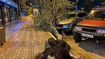 Bandırma'da fırtına dehşeti: Devrilen ağaç otomobili hurdaya çevirdi