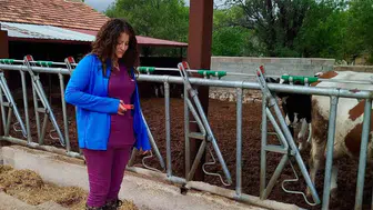 Evciler'de üretim sahalarına mercek: Tarım müdürlüğü ekipleri sahada
