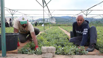 Bingöl'ün yeşil geleceği bu topraklarda filizleniyor: 3 milyonluk dev kapasite