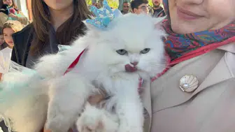 Tokat'ta podyumun yeni yıldızları: Pamuk ve Duman rakiplerini geride bıraktı