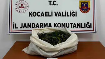 Kocaeli'de zehir tacirlerine jandarma darbesi: 4 ilçede eş zamanlı baskın