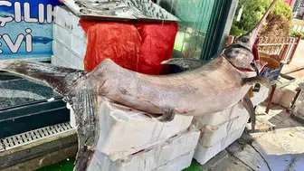 Başkentte devasa sürpriz: Tezgaha sığmayan kılıç balığı görenleri hayrete düşürdü