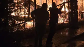 Garda Gölü kıyısında kabus dolu sabah: Kamp alanında dehşet anları