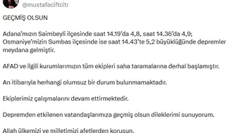 Adana ve Osmaniye'de peş peşe sarsıntılar: Bölgeden ilk resmi açıklamalar geldi