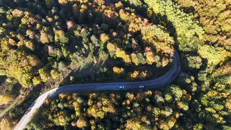 Bolu ormanlarında mevsimin en büyüleyici dönüşümü başladı