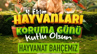 Kayseri'de 4 Ekim'e Özel Kapılar Ardına Kadar Açılıyor: Binlerce Canlıyı Ücretsiz Görebilirsiniz
