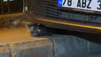 Motor kaputundan gelen ses yürekleri ağza getirdi: Minik can kurtarıldı