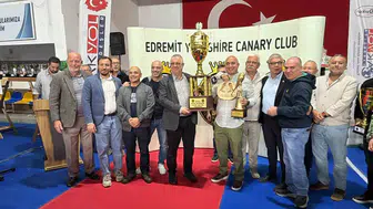 Kazdağları'nın Eteklerinde Dev Rekabet: Yorkshire Kanaryalarının Dünya Başkenti Edremit Oldu