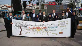 Ayvalık’ta Zeytin Hasadı Başladı: Milyonlarca Ağacın Gölgesinde Üreticinin Çığlığı Yükseliyor