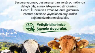 Denizli'deki besiciler için kritik tarih: 480 bin başlık ithalat maratonu başladı