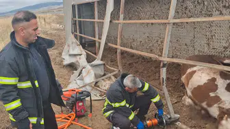 Otoyolda can pazarı: Hayvan yüklü tır şarampole uçtu