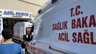 Siverek'te korkunç anlar: Hayvanlarını otlatırken yıldırım çarptı