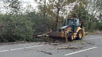 Tekirdağ'da fırtına hayatı felç etti: Devrilen ağaçlar ve direkler ulaşımı aksattı