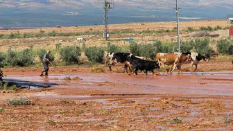 Hatay'da aniden bastıran sağanak hayatı felç etti: Traktör sesi sandılar, duvar gibi gelen sel sularıyla karşılaştılar