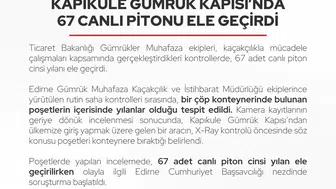 Kapıkule'de şoke eden keşif: Çöp konteynerine terk edilmiş 67 canlı piton bulundu