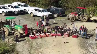 Sinop ormanlarında kanat sesleri yükseliyor: 550 sülün özgürlüğüne kavuştu