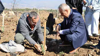 Karabük'te ErasmusDays coşkusu: Geleceğe nefes olacak 250 fidan dikildi