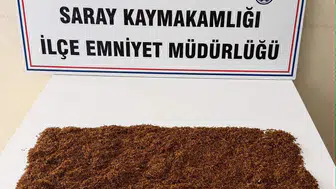 Güvercin merakı yerini demir parmaklıklara bıraktı: Kümes baskınında şok sonuç