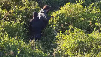 Kızılırmak Deltası'nda gökdoğan operasyonu: Kaçak avcılara rekor ceza