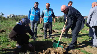 Darıca'da Zeytin Festivali ile yeşil seferberlik: Eleştirilere fidanlarla yanıt verildi