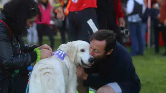 Bursa'da patili dostlar için tarihi gün: Barınaktaki köpekler ilk kez koşu parkuruna çıktı
