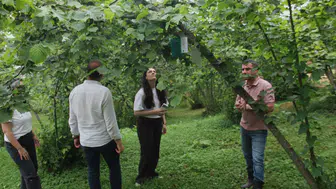 Karadeniz'in tarım arazilerinde dijital nöbet: İstilacı böcekler artık siber ağlarla izlenecek