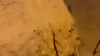 Kocaeli'de gece yarısı kabusu: Yollar göle döndü, sürücüler zor anlar yaşadı