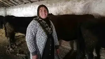 Hınıs'ta yüzleri güldüren tablo: Kırsalda Bereket projesiyle ilk buzağılar dünyaya geldi