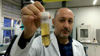 Hayvan yemi olmaktan kurtuluyor: Fındık posası sofralara protein deposu olarak dönüyor