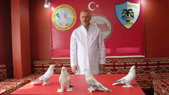 Emekli astsubaydan şaşırtan fedakarlık: 40 güvercini için 3+1 ev kiraladı