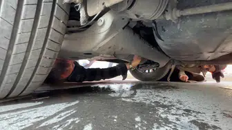 Taksi sürücüsünün dikkati minik bir canı hayata bağladı