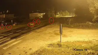 Yukarı Kırzı köyünde gece yarısı tedirgin eden ziyaret: Kurt sürüsü sokaklarda görüntülendi