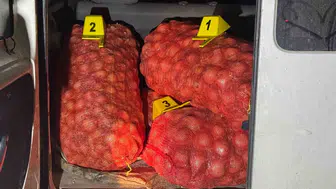 Tarlada hasat mesaisi değil hırsızlık operasyonu: 250 kilo soğanla yakalandılar