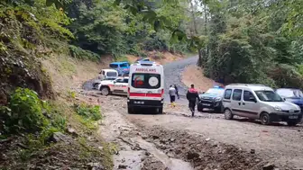 Kestane toplama umuduyla çıktığı yaylada yaşamını yitirdi