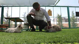 Kayseri'de patili dostlar için özel yaşam alanı: Kedi Kasabası yoğun ilgi görüyor