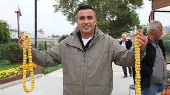 Sivas'ın dağlarından gelen şifa: Alıç tezgahlarda kısa süreliğine boy gösterdi