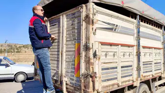 Dazkırı yollarında titiz takip: Hayvan sağlığı için sıkı denetim