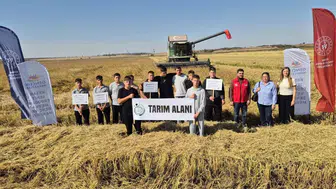 Tarlada uygulamalı eğitim: Gençler çeltik hasadının mutfağına girdi