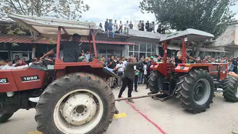 Zeytin bahçelerinde devlerin mücadelesi: Traktörler güçlerini yarıştırdı