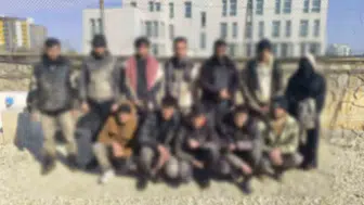 Şanlıurfa'da jandarma operasyonu: İki haftalık takibin sonucu belli oldu